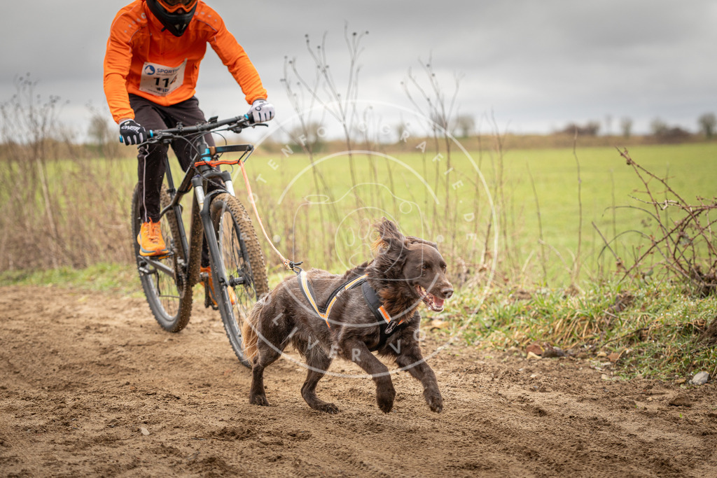 DV3A0824 | Hundefotografie, Tierfotograf, Pfotenfotografie, Fotoshooting Hund, Hunde Portrait, Hundesport, Hundeportraits, Heideshooting, Hunde, Sportfotograf, Hundefotograf, Turnierhundsport, THS,  - Realisiert mit Pictrs.com
