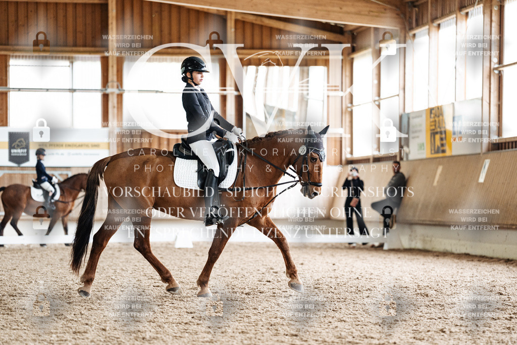 CK900628 | Turnierfotografie Pferdefotografie Trier Rheinland-Pfalz Pferdesport Reitsport Tierfotografie Sportfotografie Pferdevideo Pferdevideografie Equestrianvideography equestrianphotography  - Realisiert mit Pictrs.com
