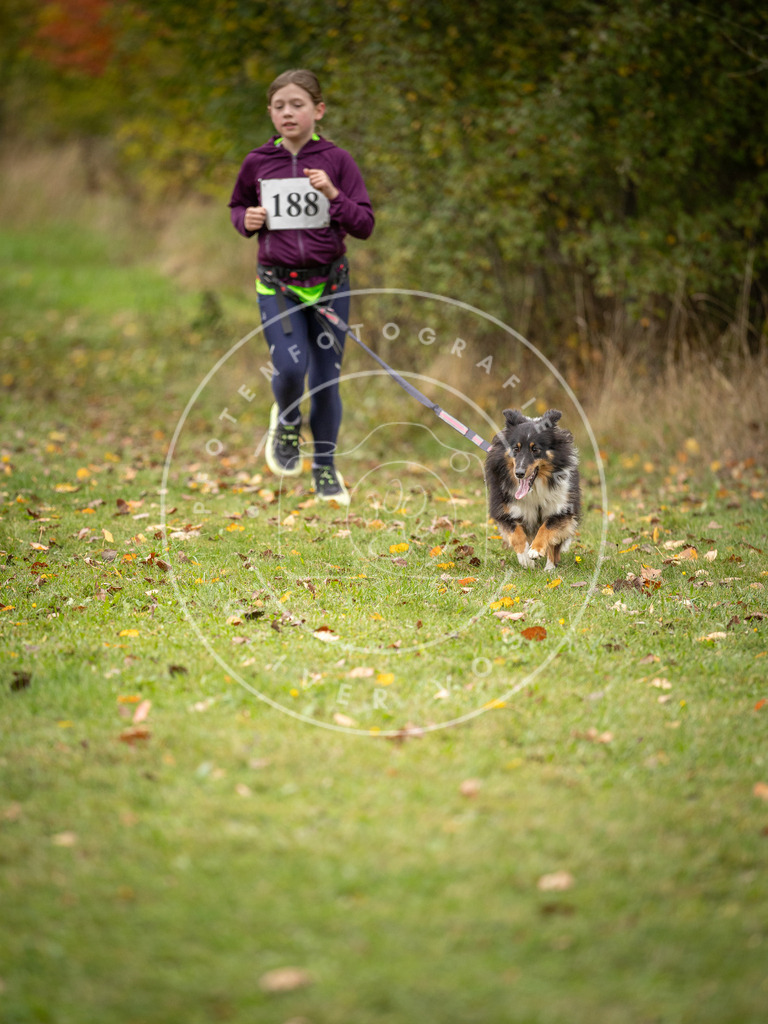 Pfotenfotografie_DV3A3694 | Hundefotografie, Tierfotograf, Pfotenfotografie, Fotoshooting Hund, Hunde Portrait, Hundesport, Hundeportraits, Heideshooting, Hunde, Sportfotograf, Hundefotograf, Turnierhundsport, THS,  - Realisiert mit Pictrs.com