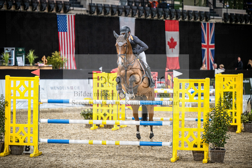 DOS_2262 | Entdecke hochwertige Reitturnierfotos von Foto Oger. Professionell, emotional und authentisch – jetzt Lieblingsmomente im Shop bestellen.Deutschlandweite Turnierfotografie. - Realisiert mit Pictrs.com