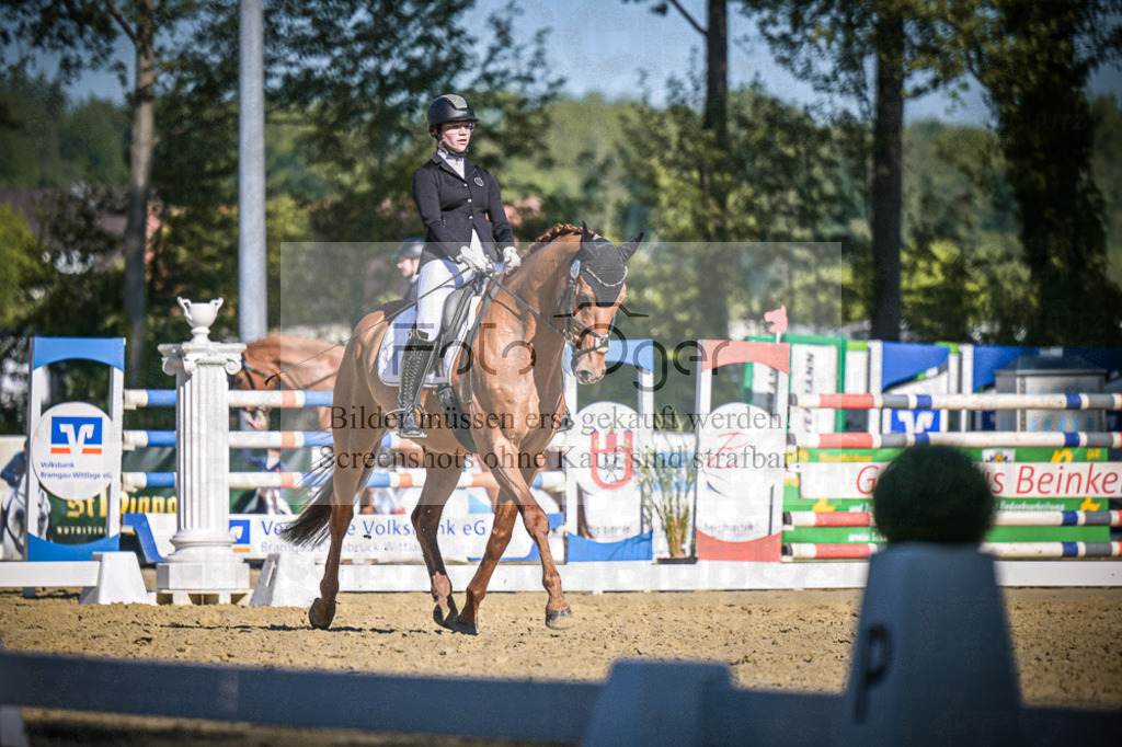 DOS_5496 | Entdecke hochwertige Reitturnierfotos von Foto Oger. Professionell, emotional und authentisch – jetzt Lieblingsmomente im Shop bestellen.Deutschlandweite Turnierfotografie. - Realisiert mit Pictrs.com