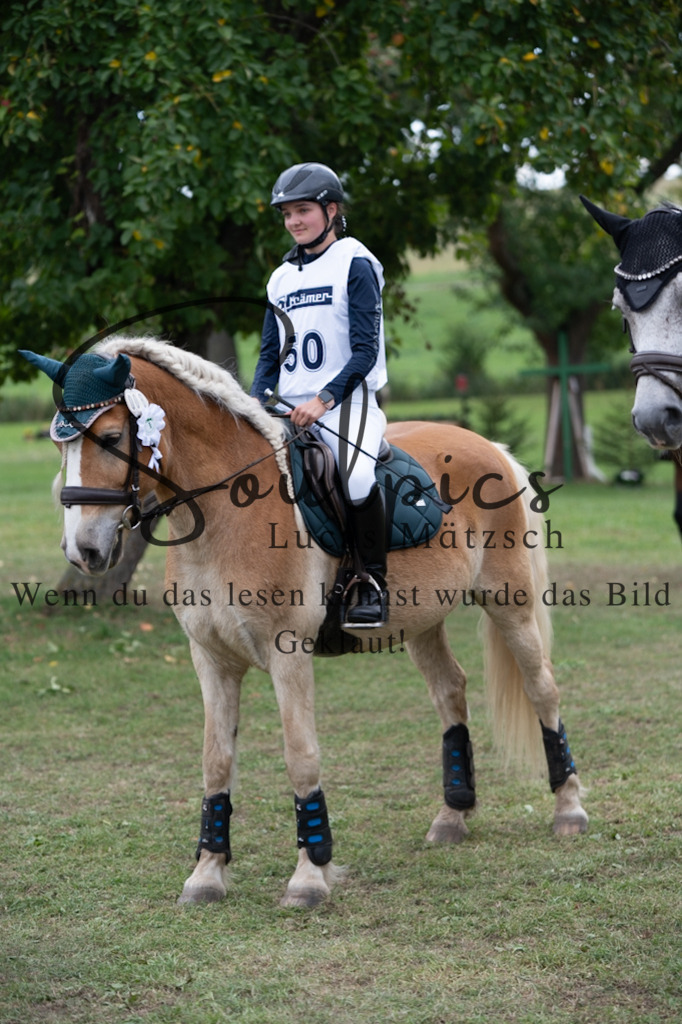 A7V03603 | Pferdefotograf