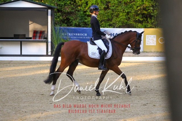 DKP41183 | Turniersportfotografie; Pferdefotografie; Dressurfotografie