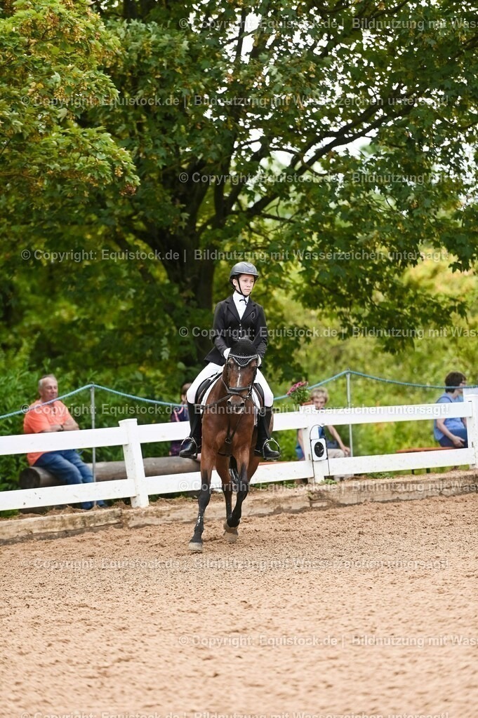 20230716_10-2_Reiter-WB Schritt - Trab - Galopp_0119 | equistock