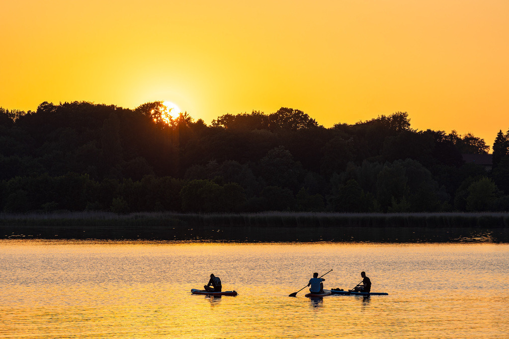 Surfpaddler auf der Warnow im Sonnenuntergang in der Hansestadt Rostock | Surfpaddler auf der Warnow im Sonnenuntergang in der Hansestadt Rostock.