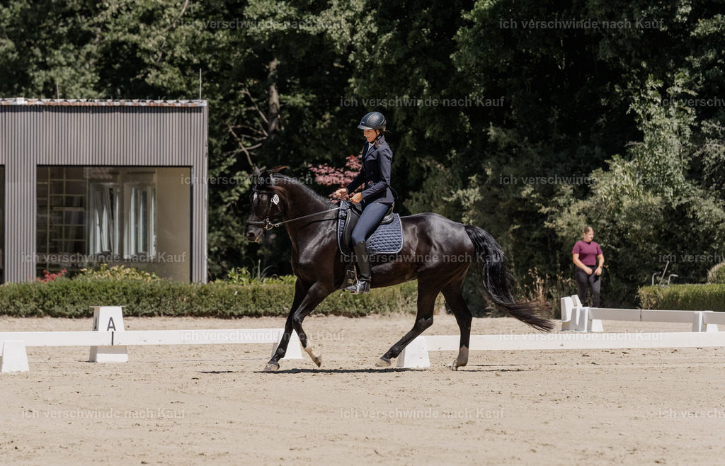 WE_DR_144_SinaFilmArt_IN03258 | working equitationturnier fotograf videograf stoibphotography marixx film working equitation deutschland reitsport turnierfotografie eventfotografie equestrian events