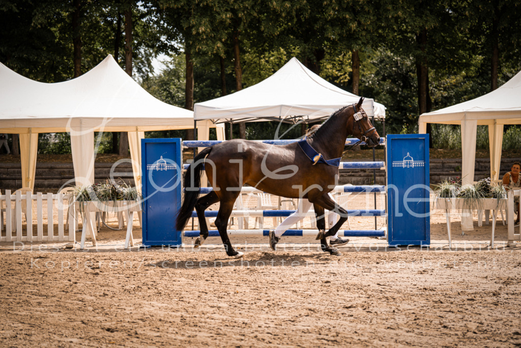 1.Fr00200 | Leoni Ertmer Photography - Realisiert mit Pictrs.com