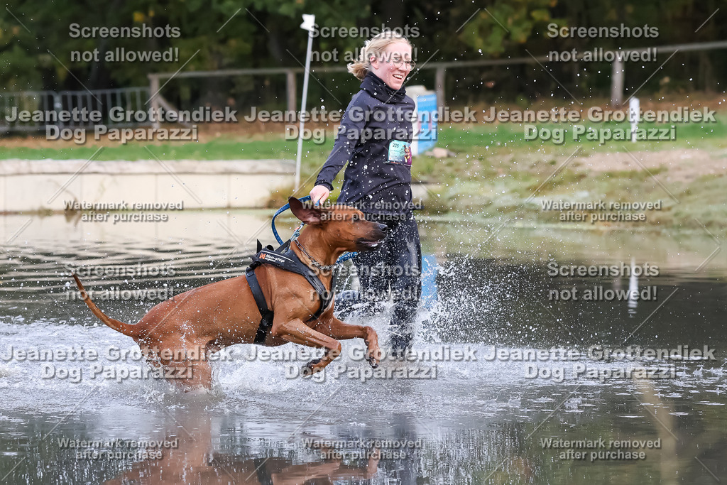 Dog Paparazzi - Strongdog 10-25-6354 | Dog Paparazzi Jeanette Grottendiek Fotografie & Videografie - Realisiert mit Pictrs.com