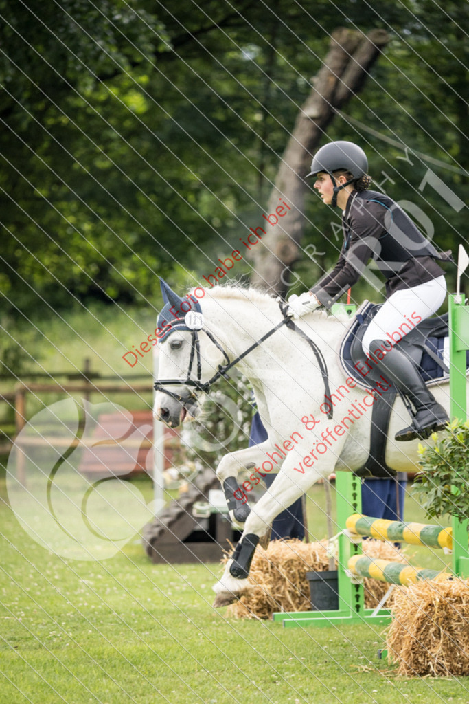 IMG_2619 | Sport-, Event- und Tierfotos in Profiqualität. Einfach auswählen, bestellen und herunterladen. Dein Moment – perfekt festgehalten.