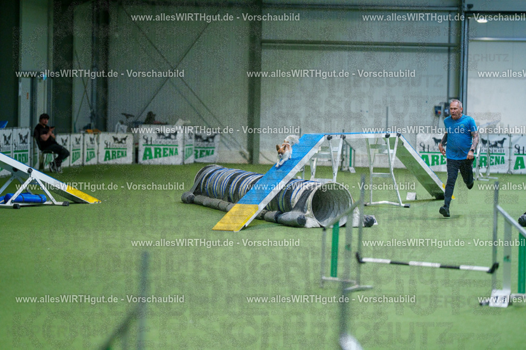 @allesWIRTHgut_Tierfotografie - www.allesWIRTHgut.de - 2604250854-7R508104 | Professionelle Tierfotografie in Mönchengladbach von Daniel Wirth (allesWIRTHgut). Liebevolle & natürliche Bilder von Hunden & Katzen für unvergessliche Erinnerungen.