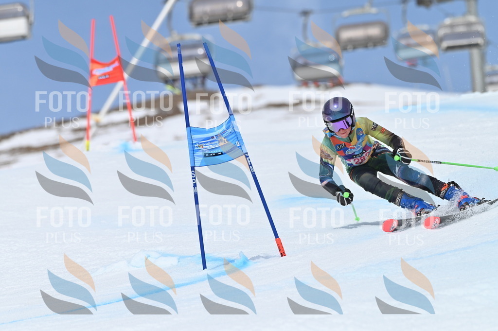 BGV_2532 | holidayphoto