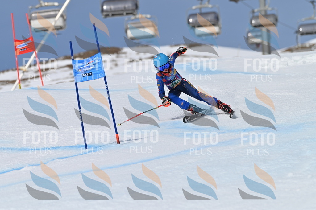 BGV_7027 | holidayphoto