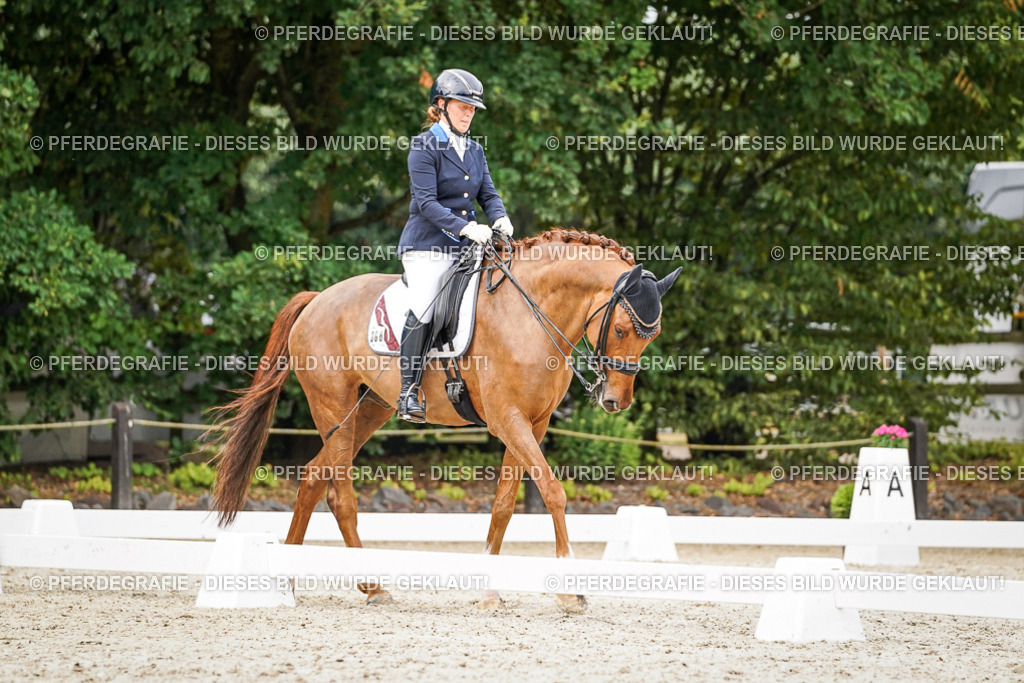 DSC07434 | Pferdegrafie