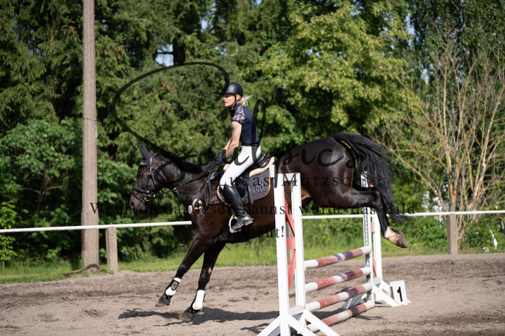 A7V03630 | Pferdefotograf