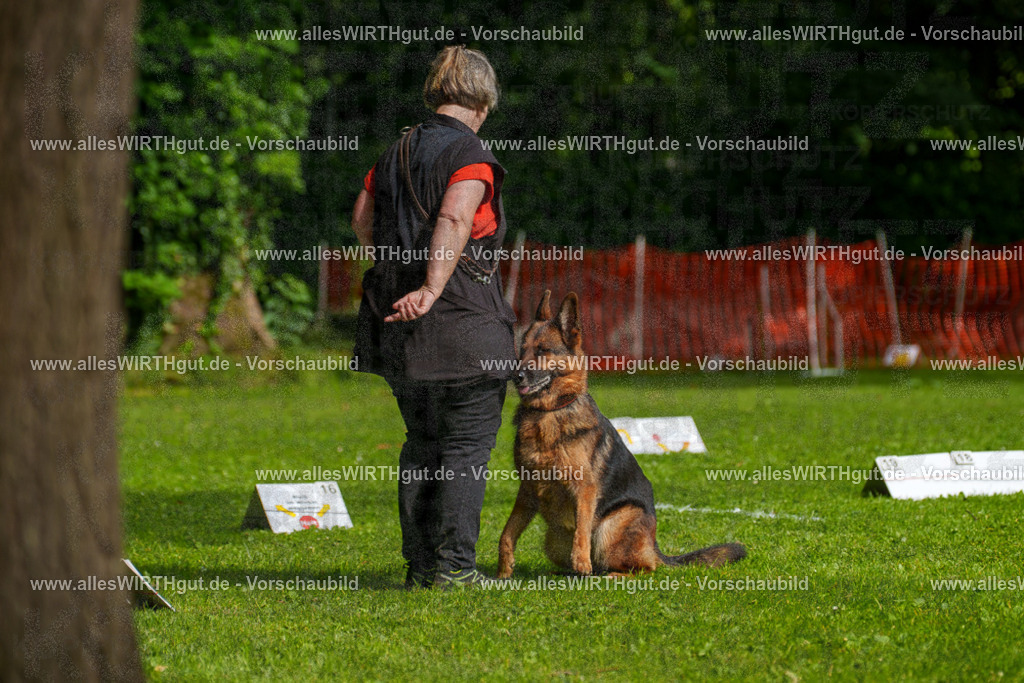 @allesWIRTHgut_Tierfotografie - www.allesWIRTHgut.de - 7R502449 | Professionelle Tierfotografie in Mönchengladbach von Daniel Wirth (allesWIRTHgut). Liebevolle & natürliche Bilder von Hunden & Katzen für unvergessliche Erinnerungen.