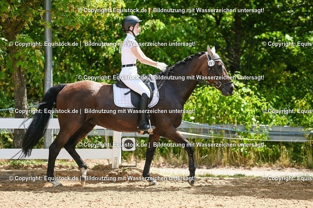 20230715_09_Dressur-WB_0249 | equistock