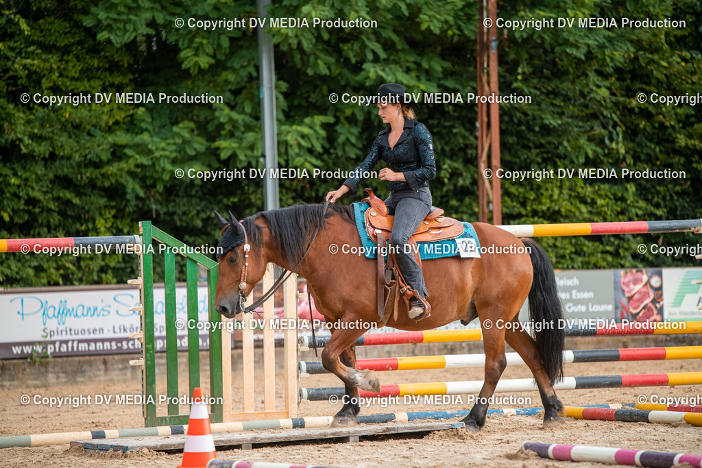 ZS2_7390 | dv-media-shop - Realisiert mit Pictrs.com