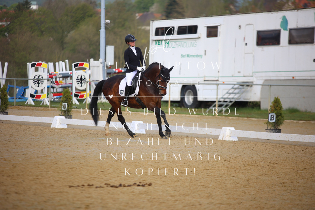 IMGT8818 | pl-fotografie