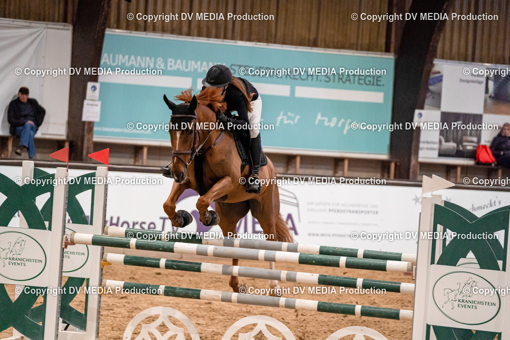 Kranichstein Tag 2-1136 | dv-media-shop - Realisiert mit Pictrs.com