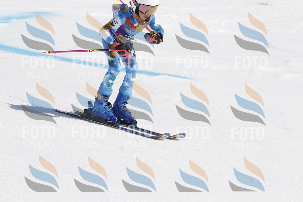 _U3G0569 | holidayphoto