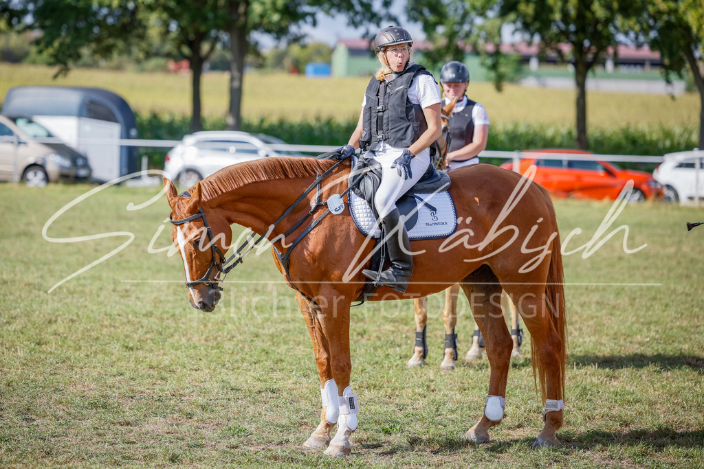 20250905-_3LI1254 | Tierfotografie Pferde, Hunde, Katzen, Haustiere.
Turnierfotografie Reitturniere, Reiten, Springreiten, Dressur in Hanau, dem Main-Kinzig-Kreis und dem Rhein-Main- Gebiet um Frankfurt