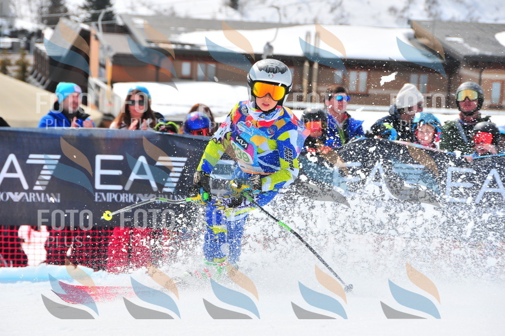 DSC_2215 | holidayphoto