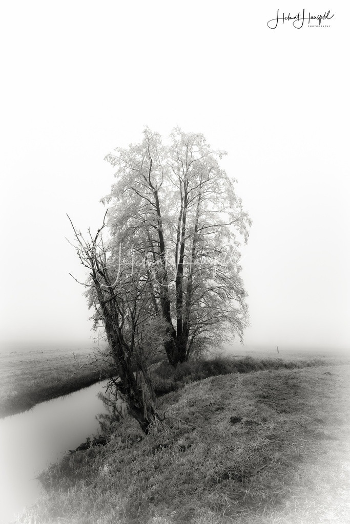 DSC05424kl | Landschaftsfotografie, Naturfotografie - Realisiert mit Pictrs.com