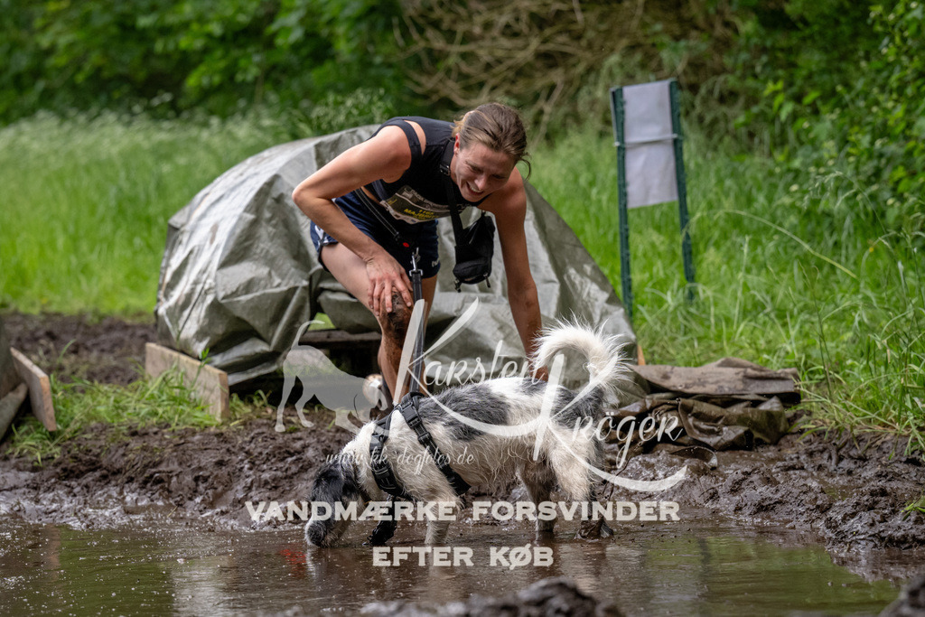 1524_ZZ93316 | kk-dogfotos