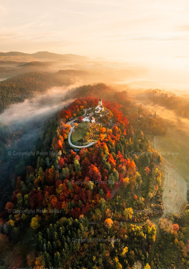 Sternberg_Herbst-238 | piet_flosse