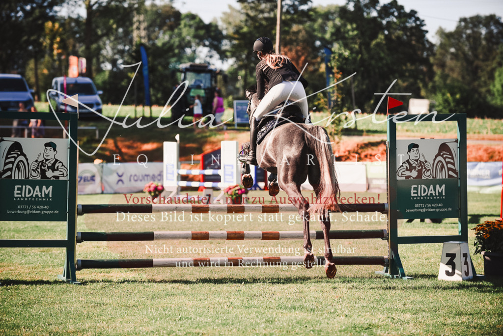 DSC_2215 | Pferde- und Turnierfotografie in Westsachsen. Pferdeportraits, Auftragszeichnungen und intuitive Kunst.
