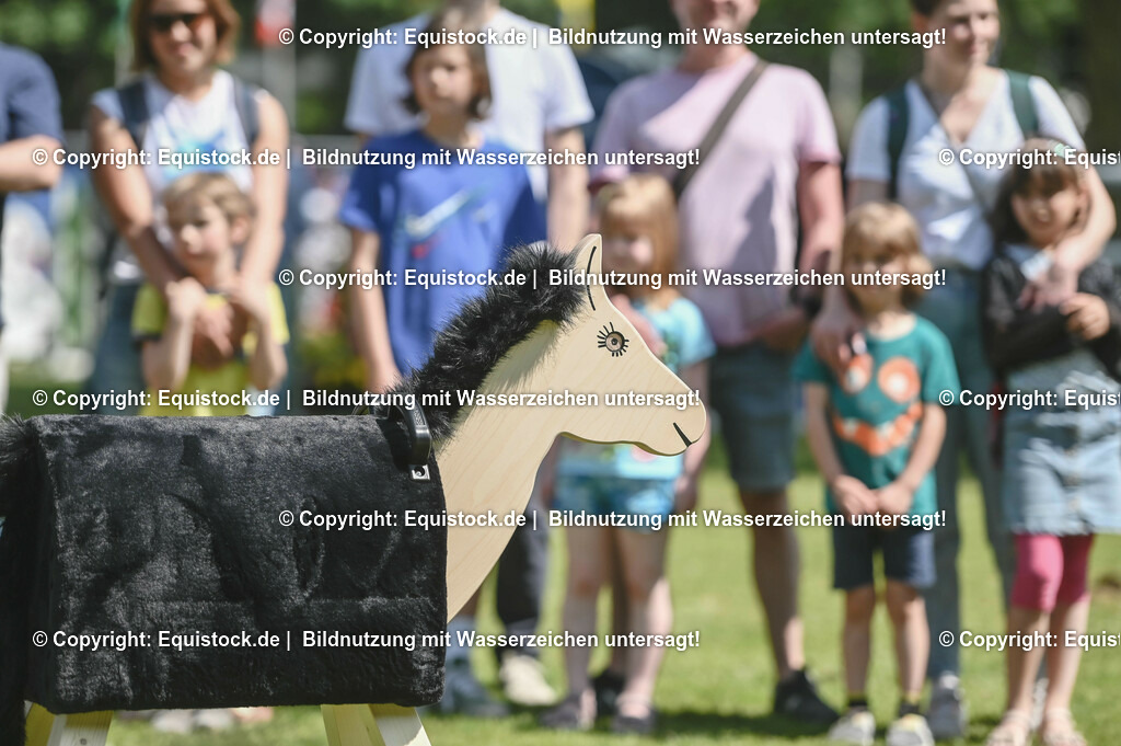 D78_3586 | equistock