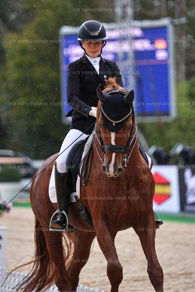 05-223-DRESSUR M_  -Marixx-4955 | working equitationturnier fotograf videograf stoibphotography marixx film working equitation deutschland reitsport turnierfotografie eventfotografie equestrian events