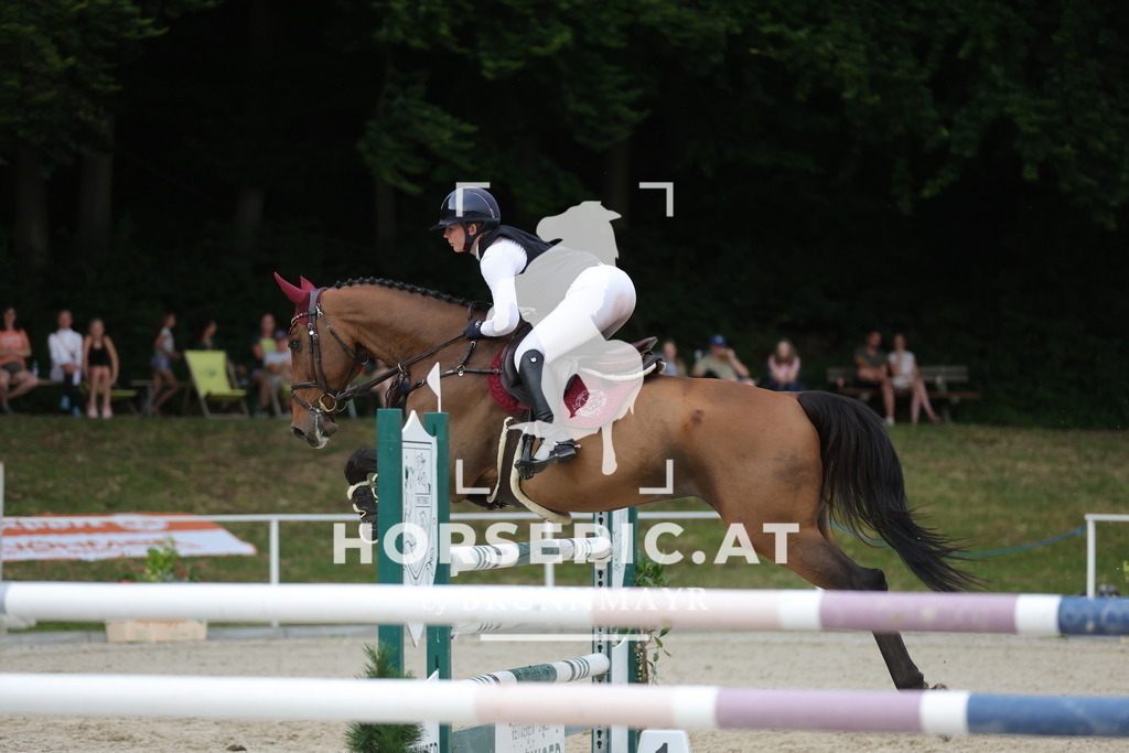 0P6A2160 | Willkommen bei Brunnmayr - Design & Fotografie – Ihrem Spezialisten für Reitturniere und Pferdeveranstaltungen in Oberösterreich, Salzburg und Bayern! Seit über 17 Jahren sind wir leidenschaftlich dabei.