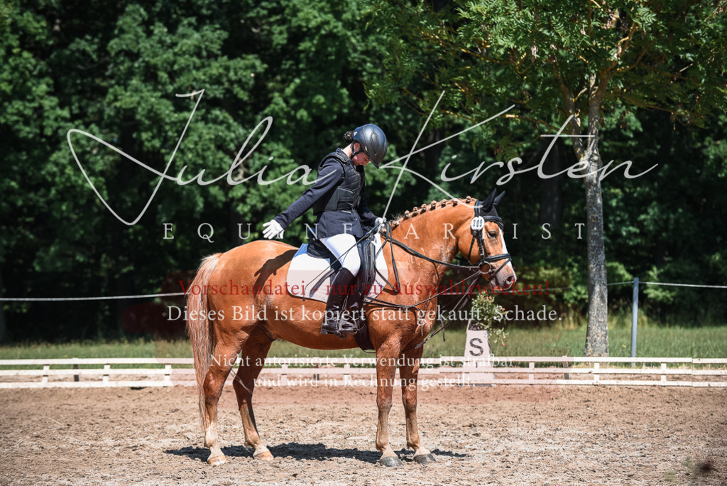 DSC_3290 | Pferde- und Turnierfotografie in Westsachsen. Pferdeportraits, Auftragszeichnungen und intuitive Kunst.