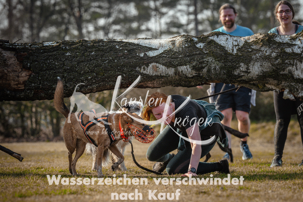 0929_ZZ99183 | kk-dogfotos