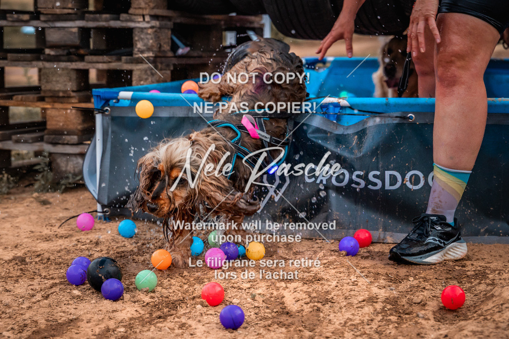 nelerasche_SummerNights26-Sa2000-2100_42 | nelerasche