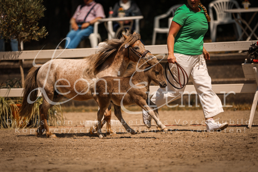 01.DoKR00126 | Leoni Ertmer Photography - Realisiert mit Pictrs.com