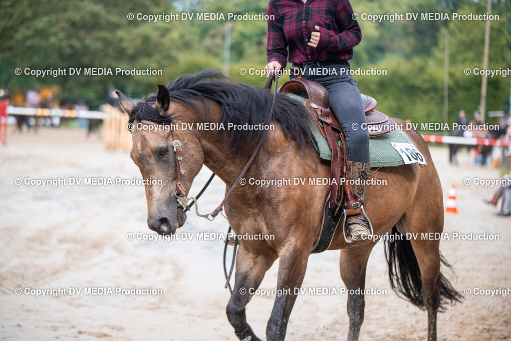 ZS2_4260 | dv-media-shop - Realisiert mit Pictrs.com