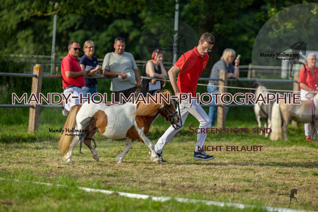RR 2 (477 von 818) | mandyhollmannphotographie