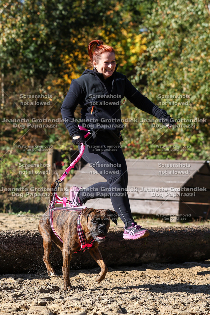 Dog Paparazzi - Strongdog 10-25-2762 | Dog Paparazzi Jeanette Grottendiek Fotografie & Videografie - Realisiert mit Pictrs.com