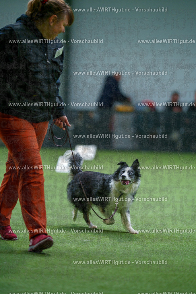 7R506438 | Professionelle Tierfotografie in Mönchengladbach von Daniel Wirth (allesWIRTHgut). Liebevolle & natürliche Bilder von Hunden & Katzen für unvergessliche Erinnerungen.