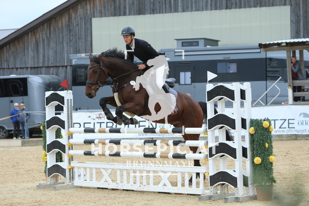 DL2Q7368 | Willkommen bei Brunnmayr - Design & Fotografie – Ihrem Spezialisten für Reitturniere und Pferdeveranstaltungen in Oberösterreich, Salzburg und Bayern! Seit über 17 Jahren sind wir leidenschaftlich dabei.