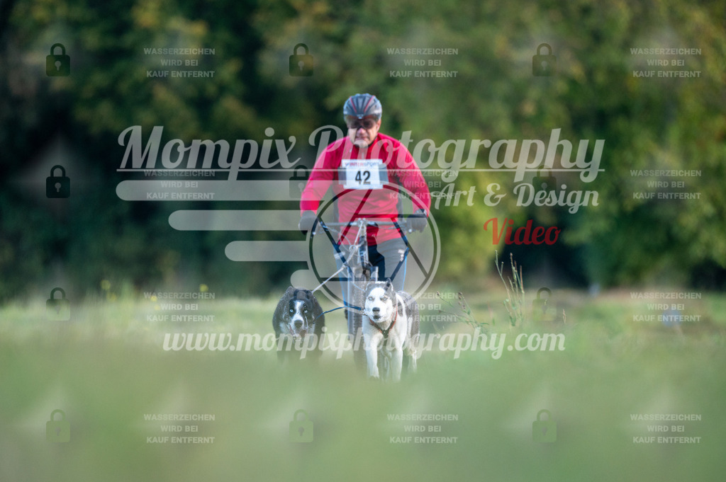 CDLBDB_15_10_2023_Dimanche-92 | mompixphotography