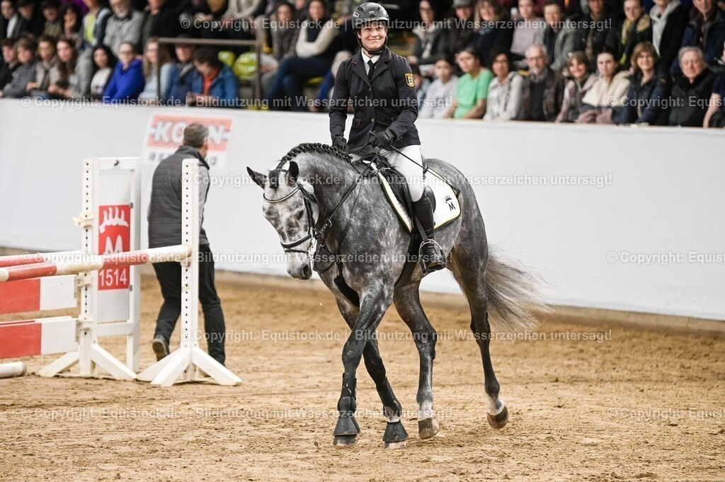 20260307_Hengstvorstellung-Marbach_0098 | equistock