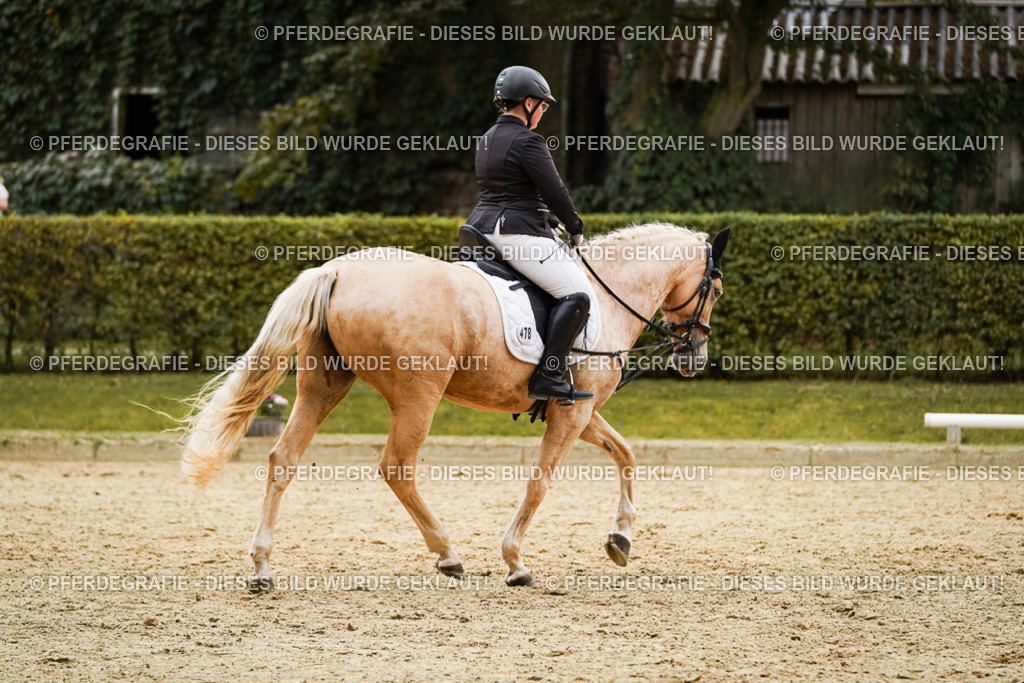 DSC09963 | Pferdegrafie