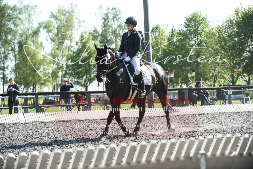 DSC_8627 | Pferde- und Turnierfotografie in Westsachsen. Pferdeportraits, Auftragszeichnungen und intuitive Kunst.