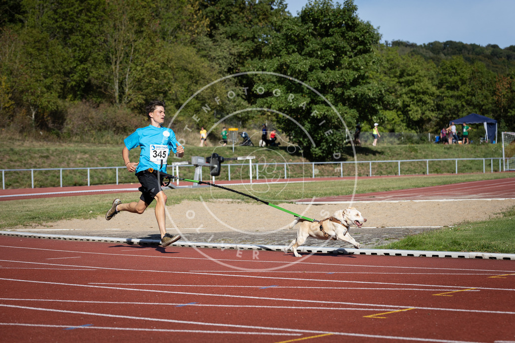 Pfotenfotografie_DV3A8506 | Hundefotografie, Tierfotograf, Pfotenfotografie, Fotoshooting Hund, Hunde Portrait, Hundesport, Hundeportraits, Heideshooting, Hunde, Sportfotograf, Hundefotograf, Turnierhundsport, THS,  - Realisiert mit Pictrs.com