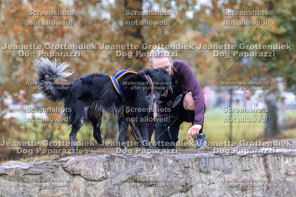 Dog Paparazzi - SD CaniX Championship 2025-814 | Dog Paparazzi Jeanette Grottendiek Fotografie & Videografie - Realisiert mit Pictrs.com