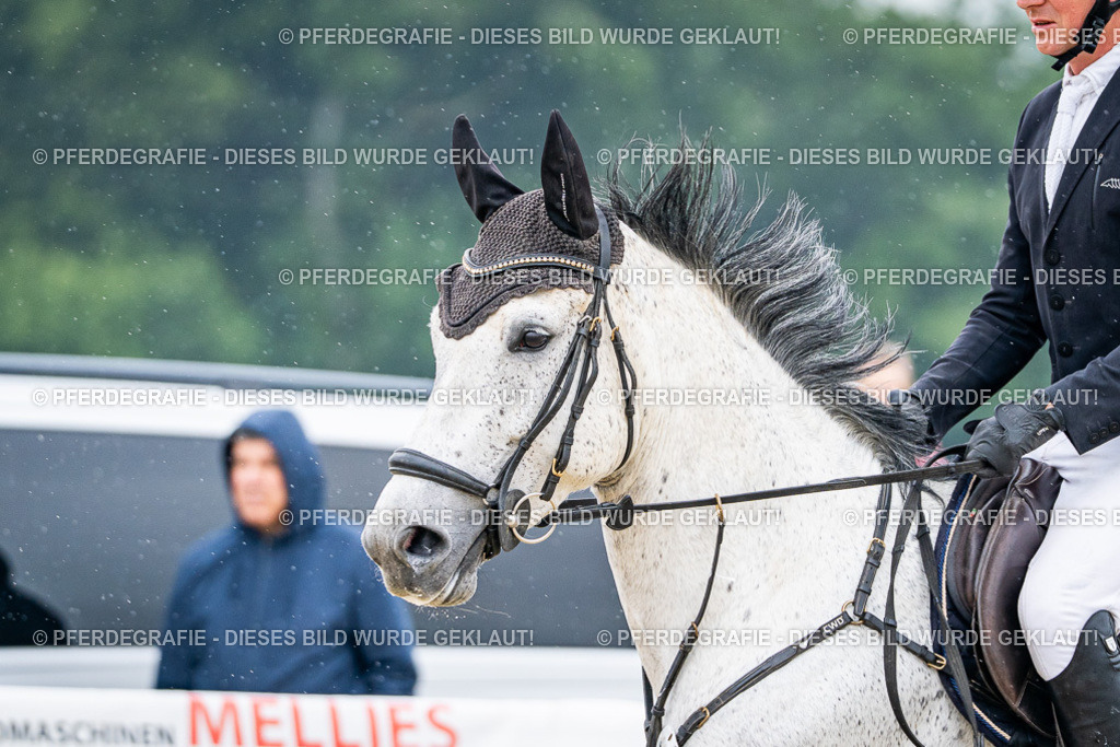 DSC00904 | Pferdegrafie