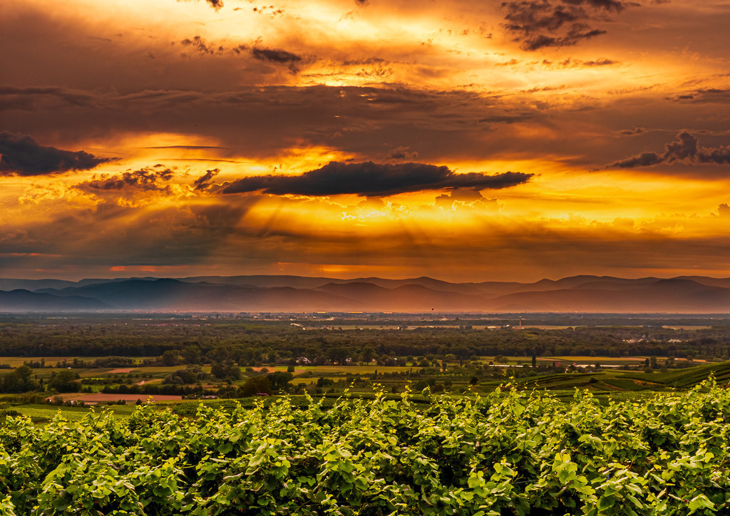 MPI_Sunset_0005 | Götterdämmerung über den Vogesen am Kaiserstuhl - Realisiert mit Pictrs.com